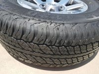 20170624_130401.jpg 20170624_130401.jpg