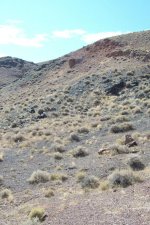 34616-Nice day for a hike.jpg