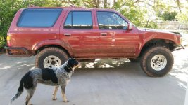 20170331_102729.jpg