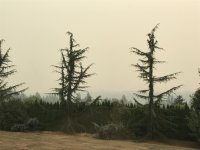 IMG_2352.jpg