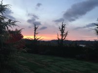 IMG_4345.jpg