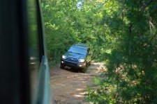 DSC_6398m.jpg