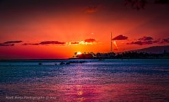 IMG_0176.JPG