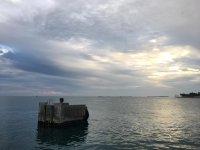 IMG_7674.jpg