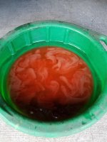 20170907_172433.jpg