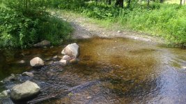 IMG_20170718_133328.jpg