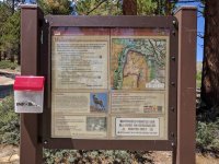 IMG_20170820_124203.jpg
