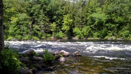 IMG_20170626_145734.jpg