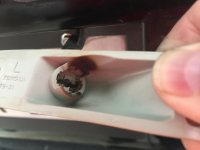 IMG_1162.jpg