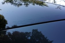 DSC00128.jpg