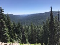 IMG_9581.jpg