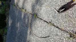 20170626_173420.jpg