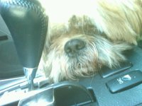 IMG00055-20100123-1034.jpg