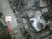 Idle adjustment screw.JPG