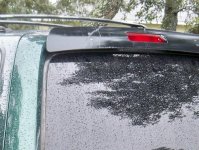 rear hatch.jpg