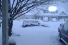 2010_0206Image0099.JPG
