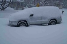 Snow2010.jpg
