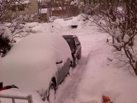 Driveway.jpg