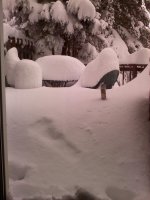 BackDeck.jpg