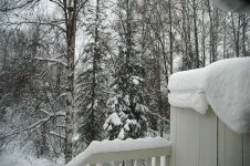 DSC_0006.jpg