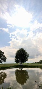 IMG_4441.jpg