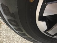 IMG_0160.jpg
