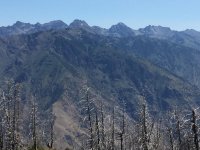 IMG_2694.jpg