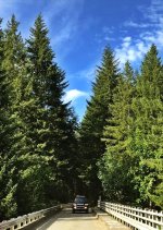 IMG_1783.jpg