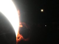 IMG_1517.jpg