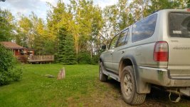 20170627_203634_HDR_resized.jpg