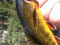 IMG_4312.jpg