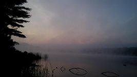 IMG_20170810_060945.jpg