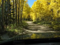 Aspen.jpg