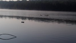 IMG_20170810_080022.jpg