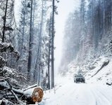 IMG_20171124_184238_938.jpg