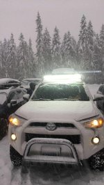 IMG_4621.jpg