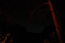 DSC_6233.jpg