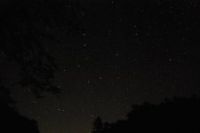 DSC_6244.jpg