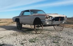 T-Bird.jpg