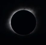 Eclipse with prominances.jpg