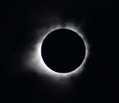 Eclipse with prominances 2.jpg