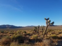 20171021_17084325.jpg