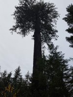IMG_20171125_214938.jpg