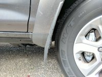 IMG_20171008_104051.jpg