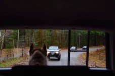IMG_20171125_215622.jpg