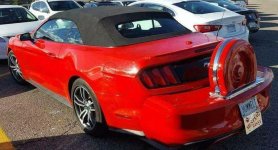 continental-mustang.jpg continental-mustang.jpg