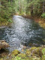 IMG_20171125_214527.jpg