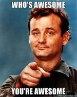 fff411546ab6d77e9d8fd08807419e3e--you-are-awesome-im-awesome.jpg