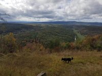 20171009_145452.jpg