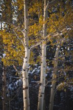 10-10-2017 Nederland Drive-9.jpg